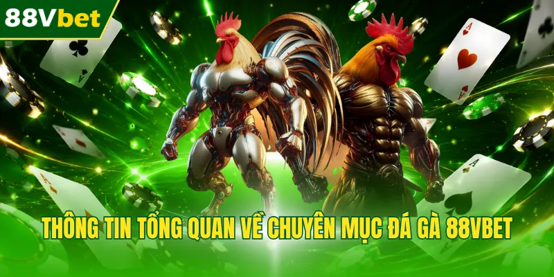Thông tin tổng quan về chuyên mục đá gà 88VBET